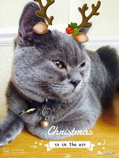 20161219090842295.png